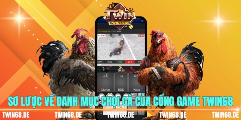 Sơ lược về danh mục chọi gà của cổng game Twin68